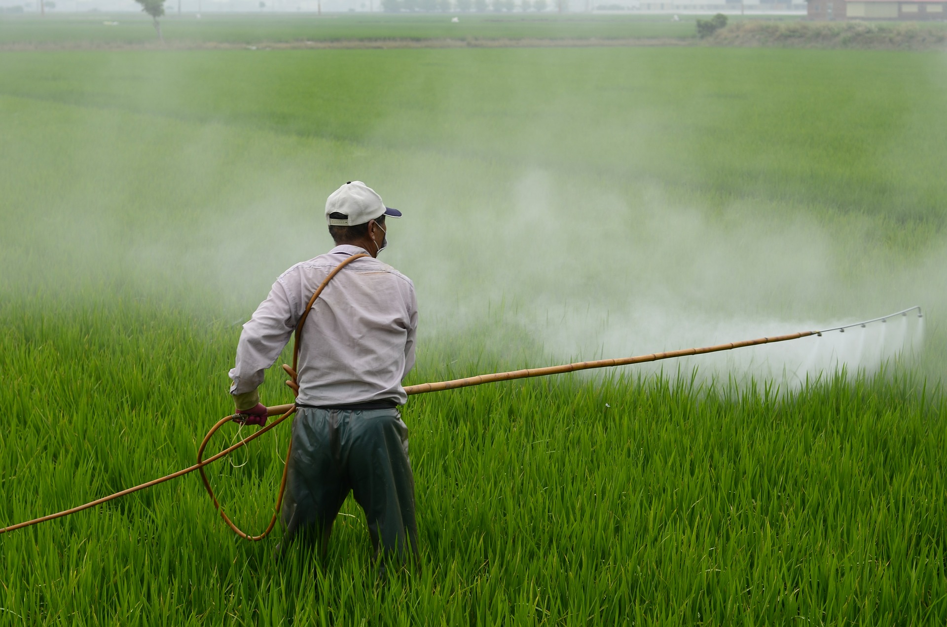Lee más sobre el artículo La industria de herbicidas trabaja en alternativas al glifosato